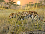 Cabela's African Safari - PlayStation 2 (PS2) Game