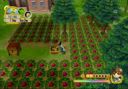 Harvest Moon: Tree of Tranquility - Nintendo Wii Game