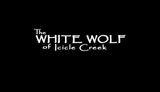 Nancy Drew: The White Wolf of Icicle Creek - Nintendo Wii Game