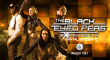 The Black Eyed Peas Experience - Nintendo Wii Game