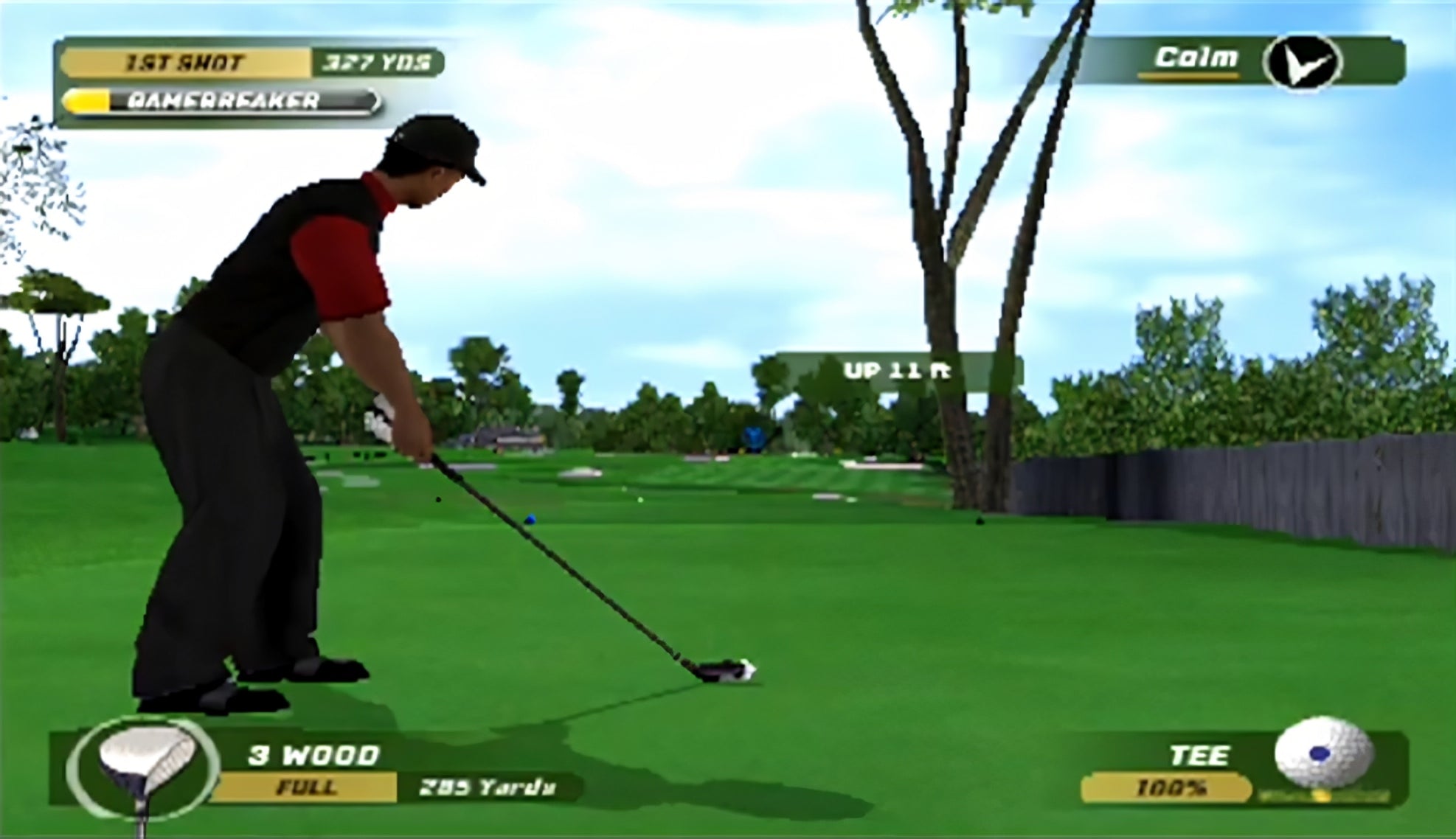 Tiger Woods PGA Tour 06 - PlayStation 2 (PS2) Game