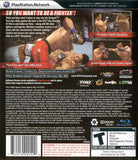 UFC 2009 Undisputed - PlayStation 3 (PS3) Game